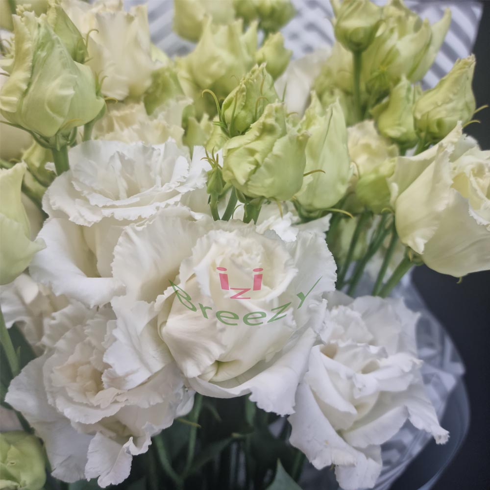 Букет из 7 белых эустом купить 