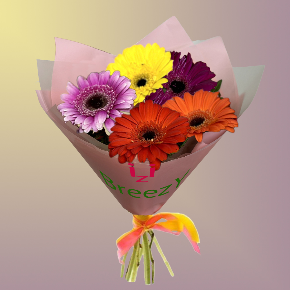 Букет из 5 гербер мини в Самаре Букет из 5 гербер мини купить