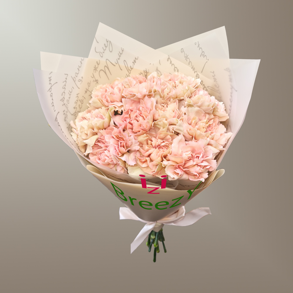 Букет из 11 кремовых гвоздик в Казани Букет из 11 кремовых гвоздик купить