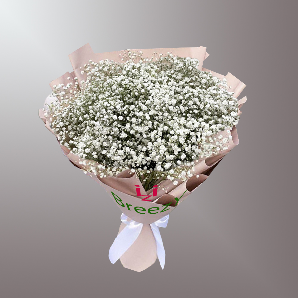 Букет из 11 белых гипсофил купить 