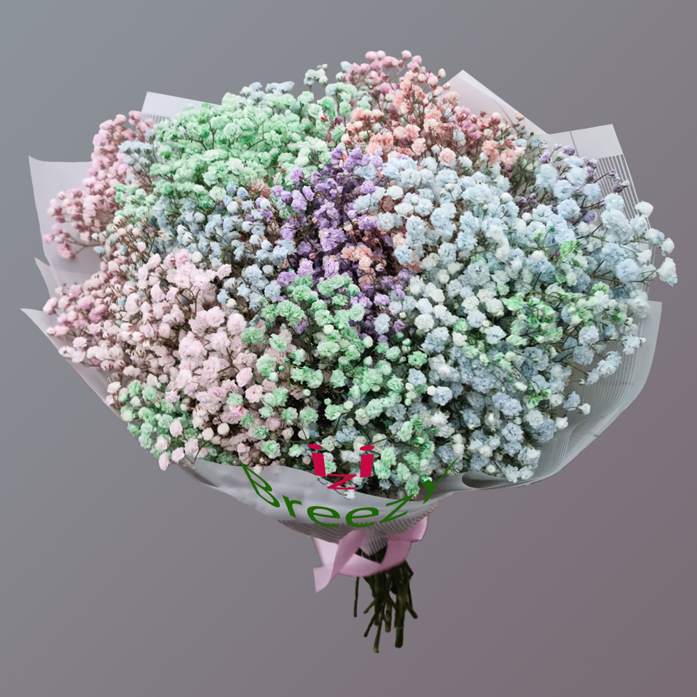 Букет из 11 цветных гипсофил в Самаре Букет из 11 цветных гипсофил купить