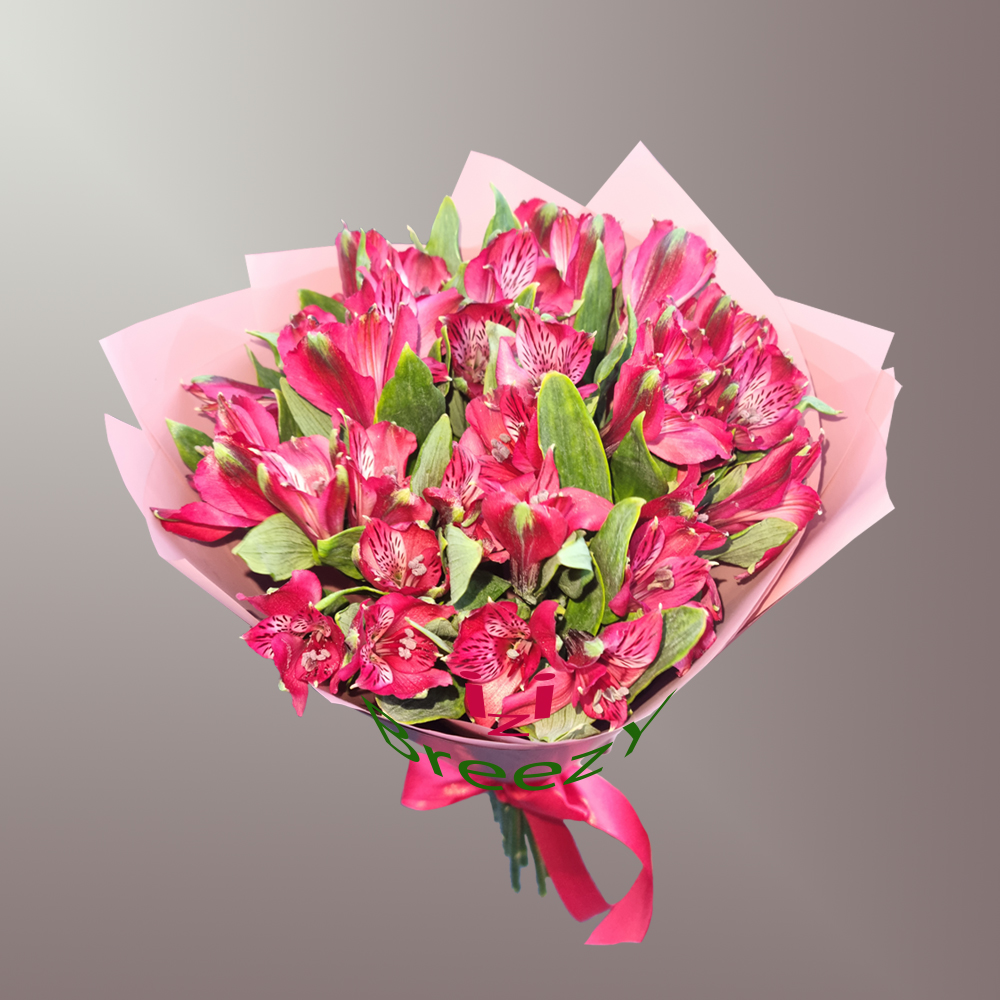 Букет из 9 красных альстромерий купить 