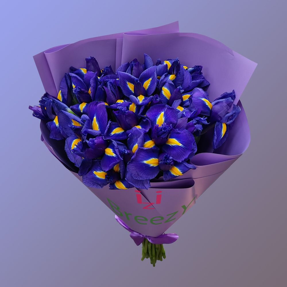 Букет из 25 ирисов в Казани Букет из 25 ирисов купить