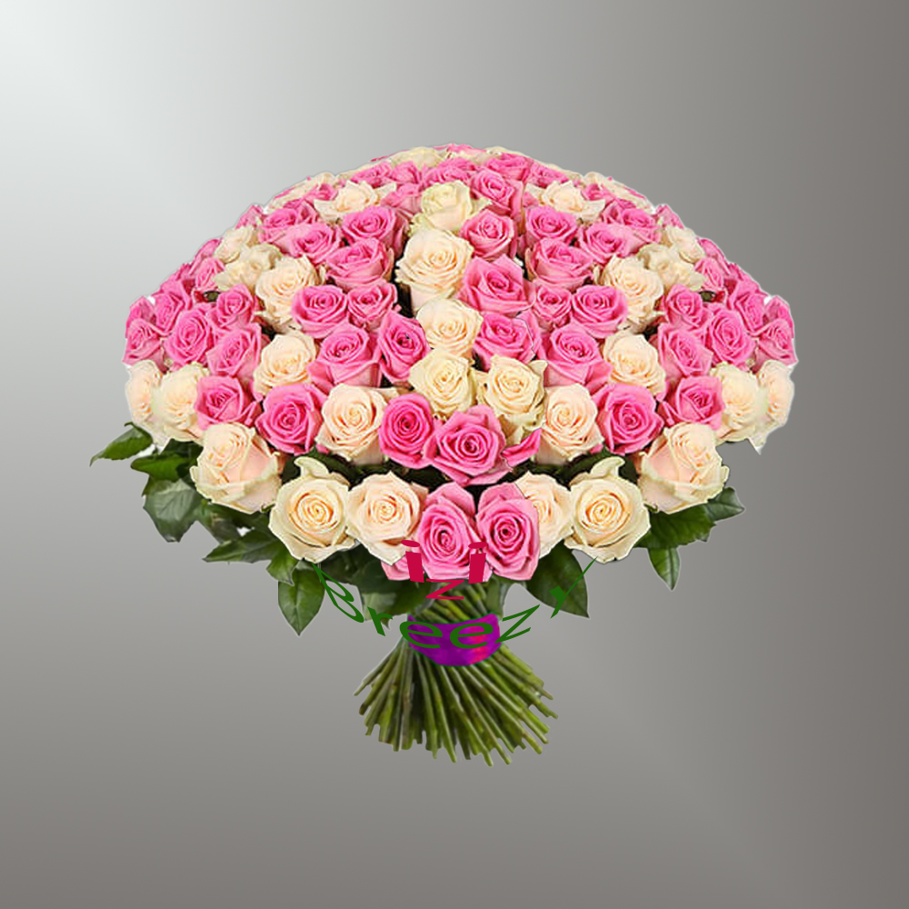 Букет из кремовых и розовых роз 101шт.  (60см) купить 
