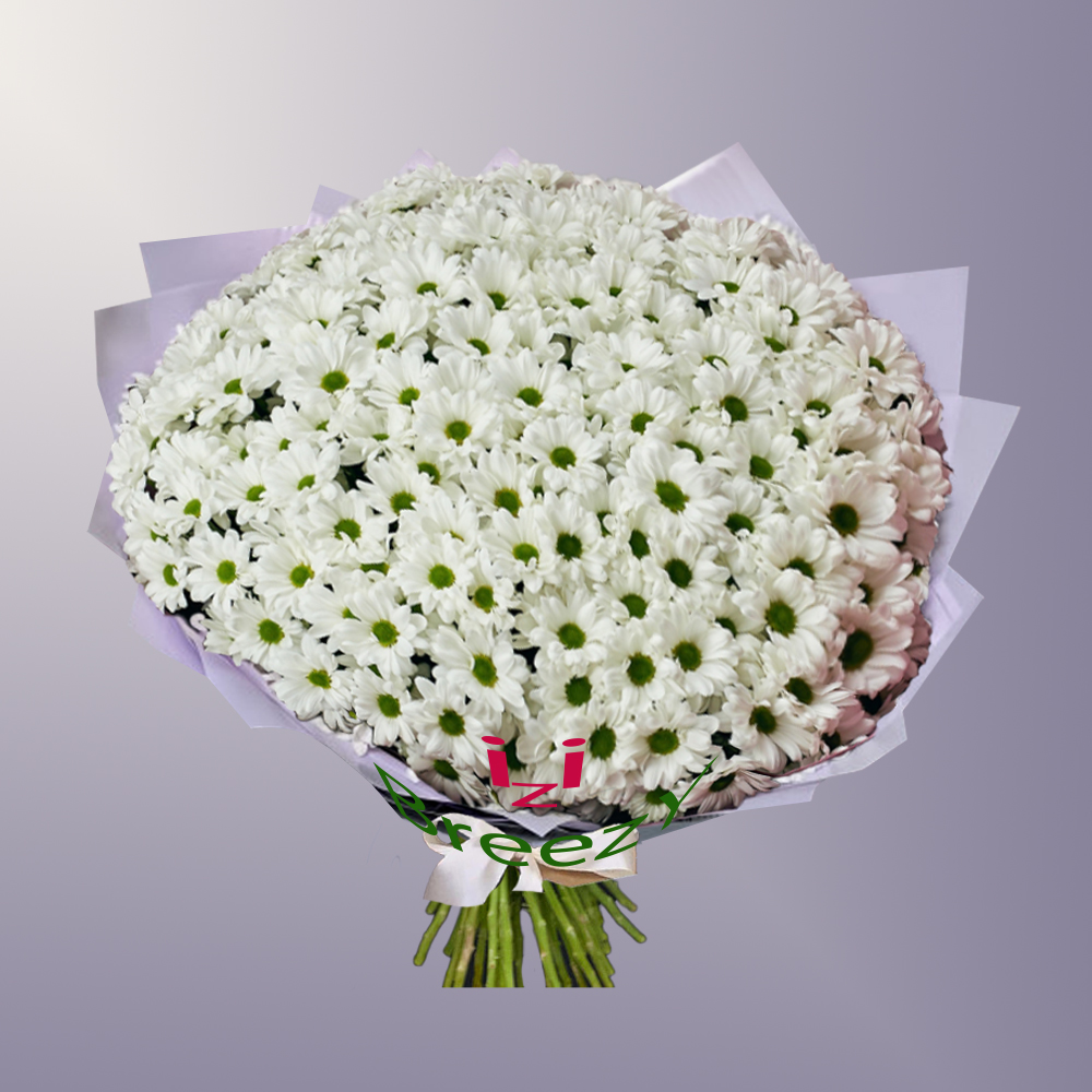Букет из 35 кустовых хризантем в Самаре Букет из 35 кустовых хризантем купить