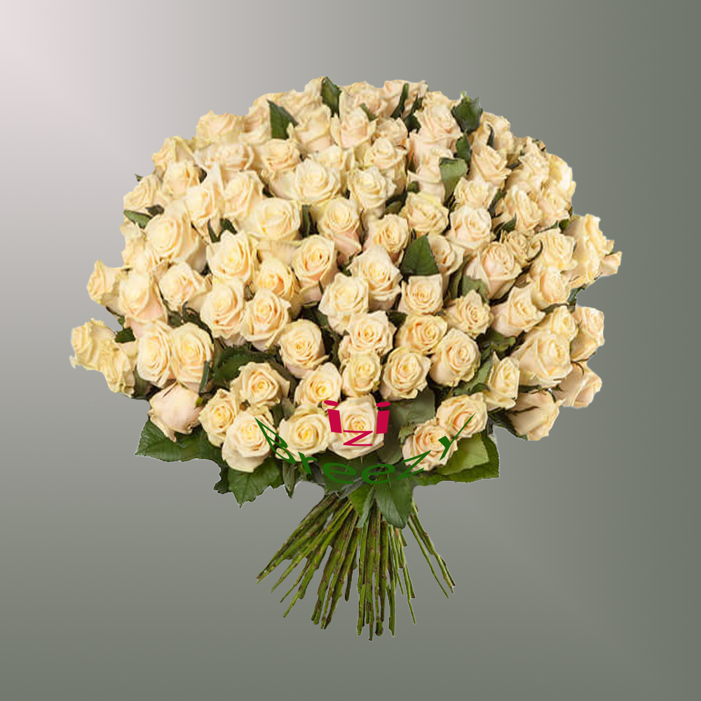 Букет из 101 кремовой розы (70см) купить 