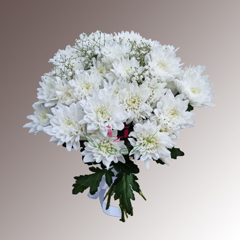 Букет Снежок в Казани Букет Снежок купить