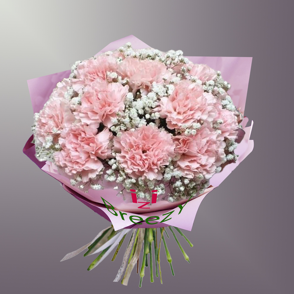 Букет из 13 гвоздик и гипсофилы в Нижнем Новгороде Букет из 13 гвоздик и гипсофилы купить