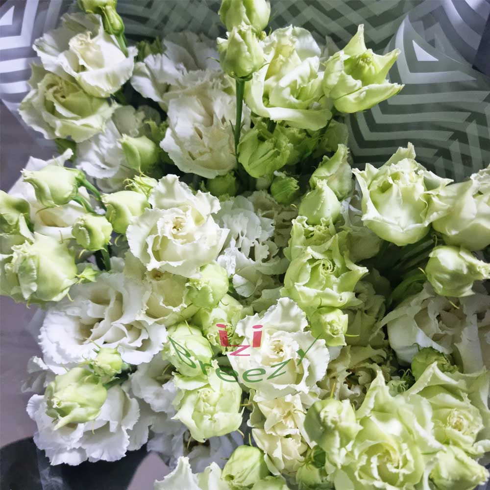 Букет из 7 белых эустом купить 