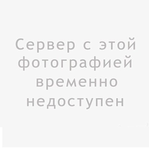 Букет из 9 эустом купить в Москве Букет из 9 эустом в Москве
